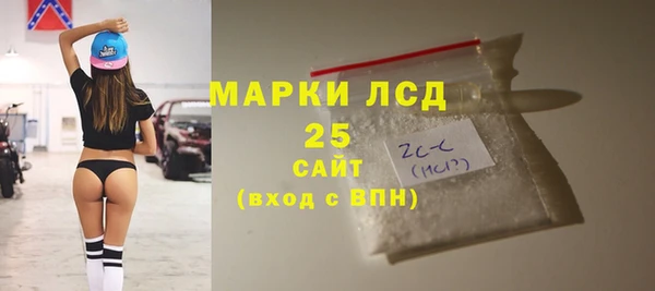гидра Рославль